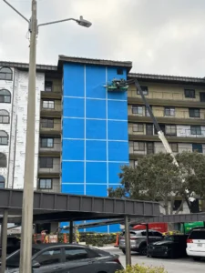 Liquid applied flashing for windows and doors